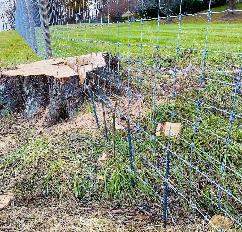 A metal field with a tree root cutting through it