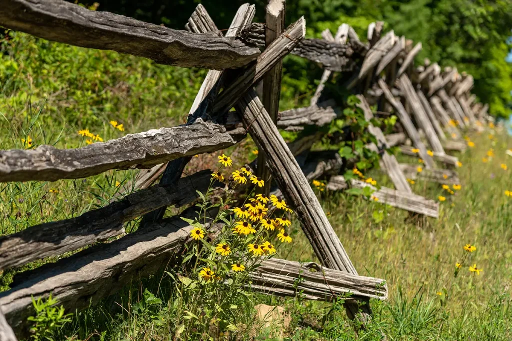 wooden split rail fence with flowers growing around it